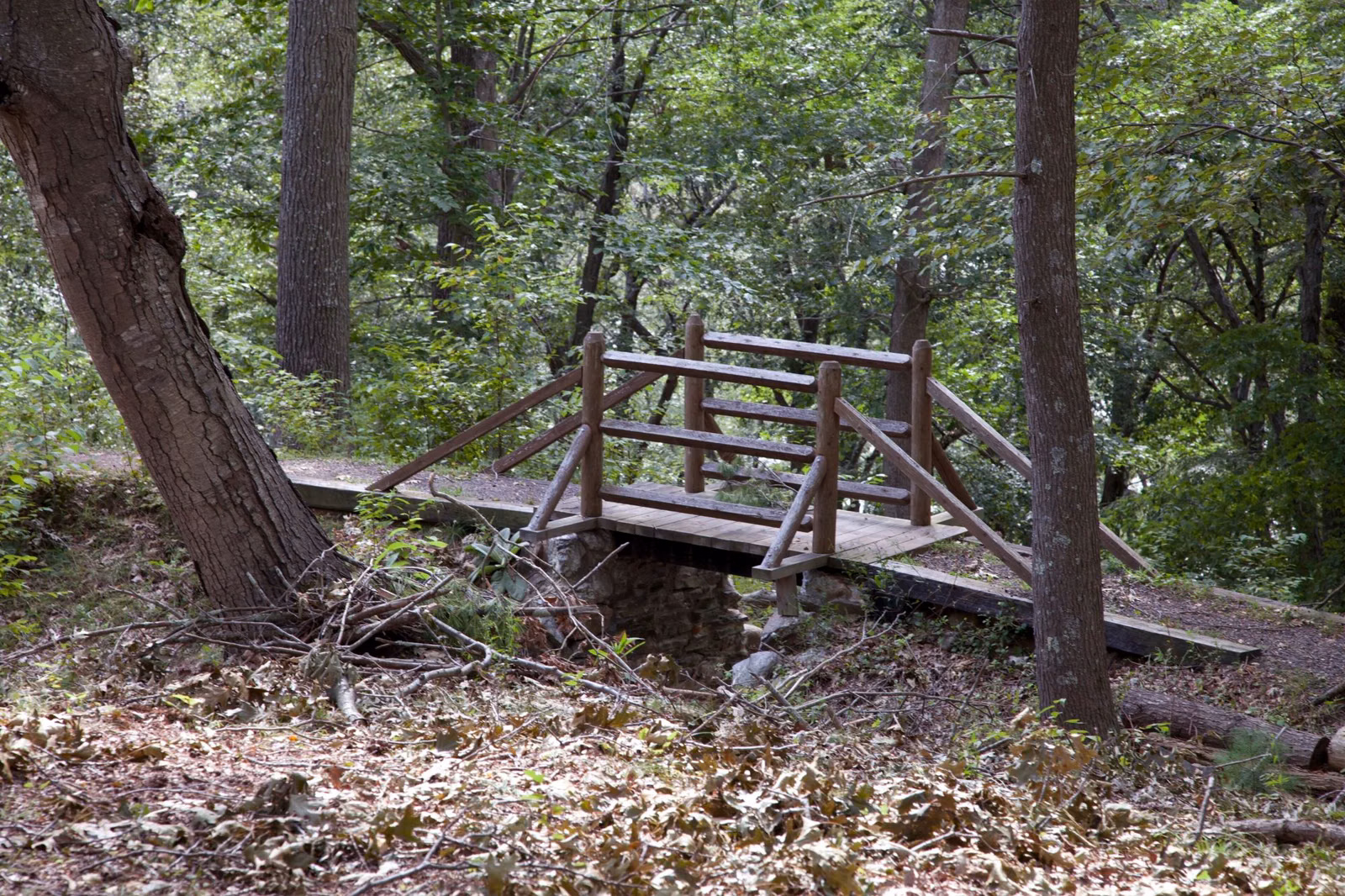 Wooden footbridge on a wooded trail