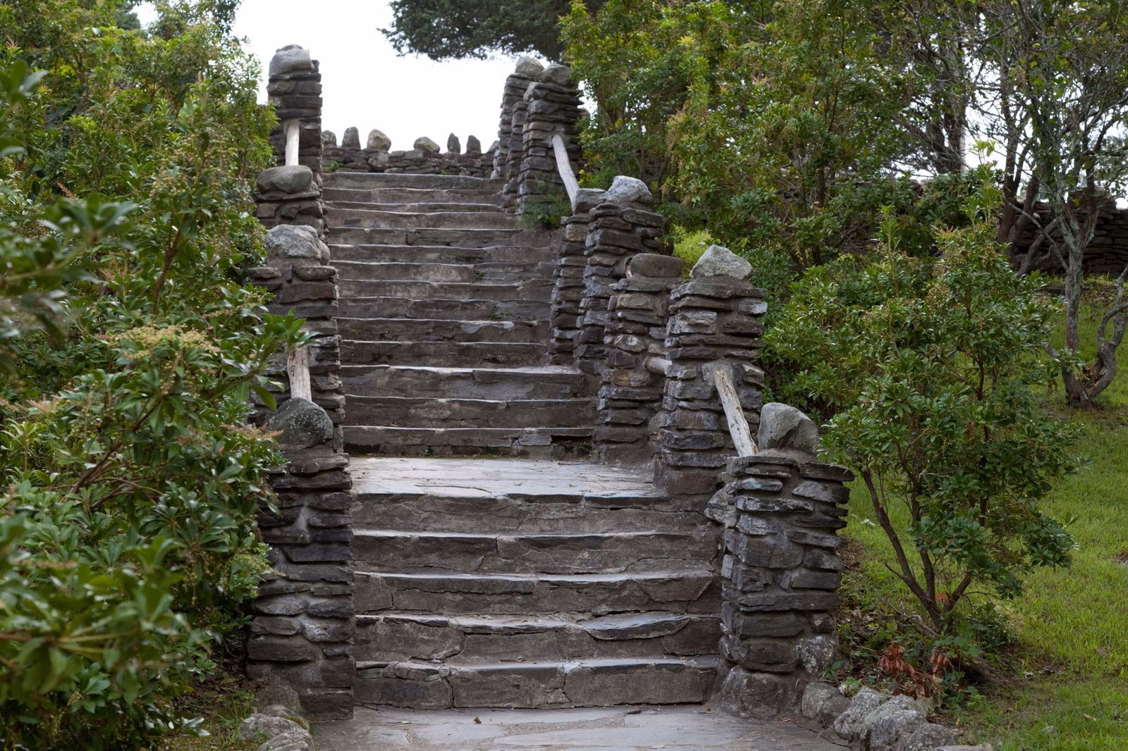 Fieldstone stairway climbing between shrubs