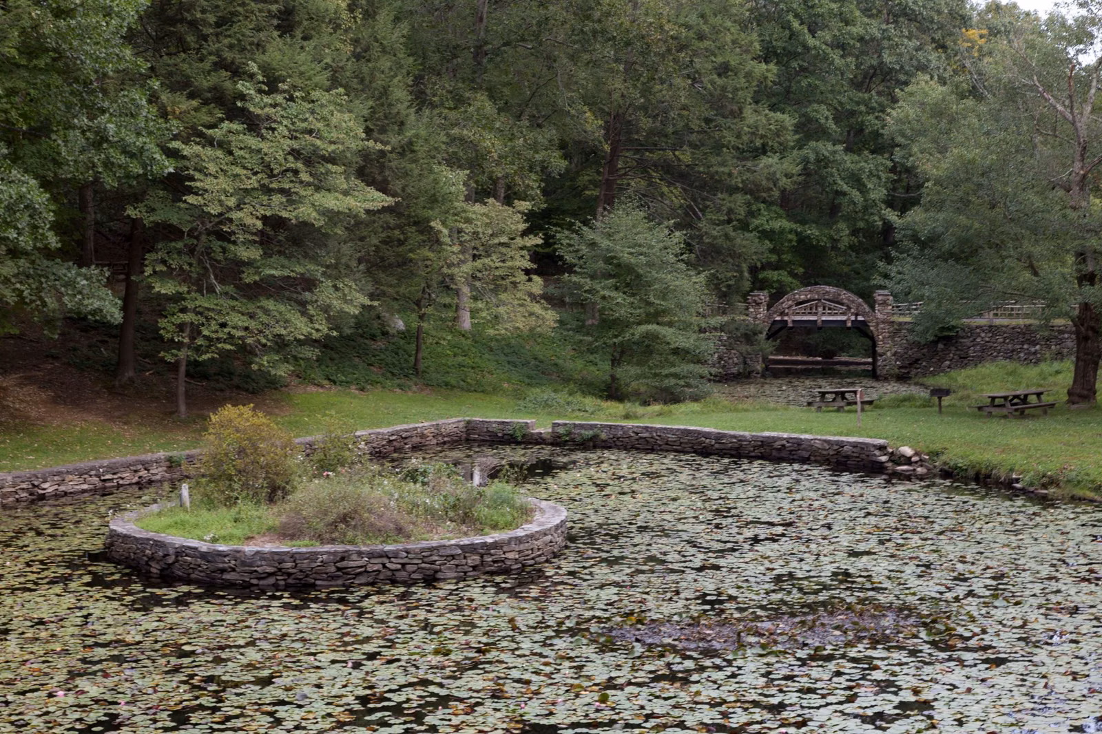 Lily pond with a planted island and a rustic shelter beyond
