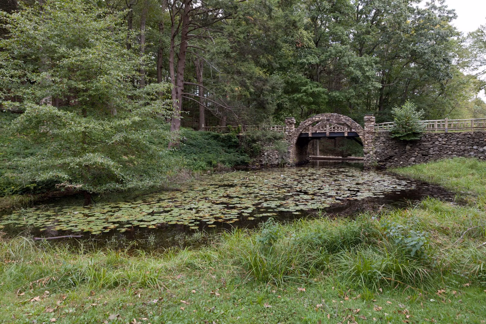 Stone arch bridge seen across a pond and tall grass