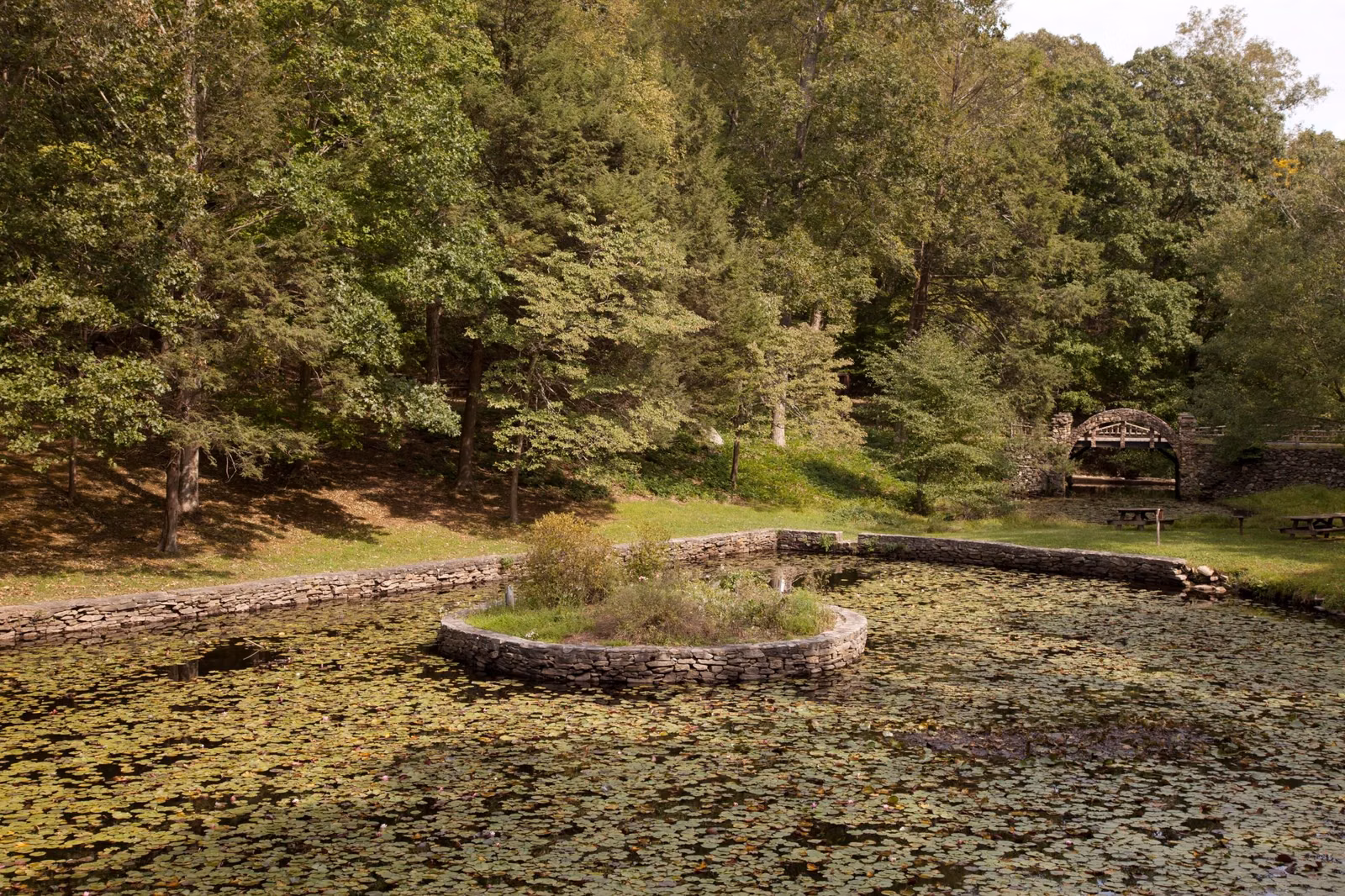 Stone-edged pond with a small planted island