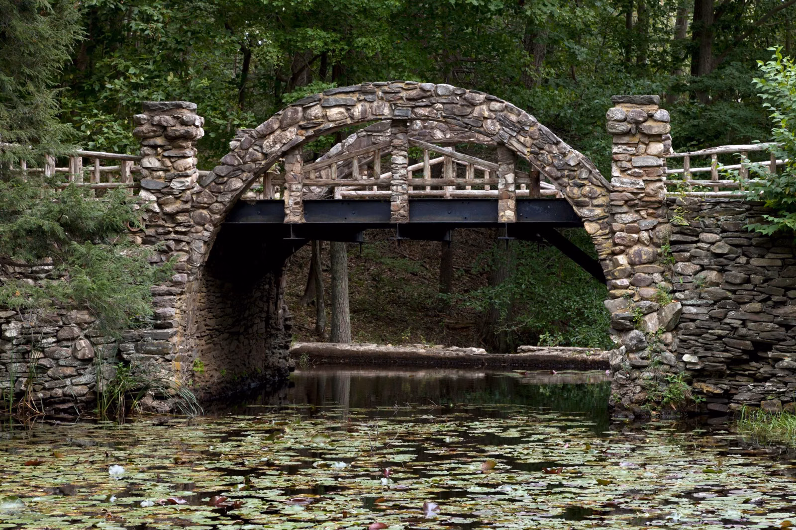 Stone arch bridge with a wooden railing over a lily pond