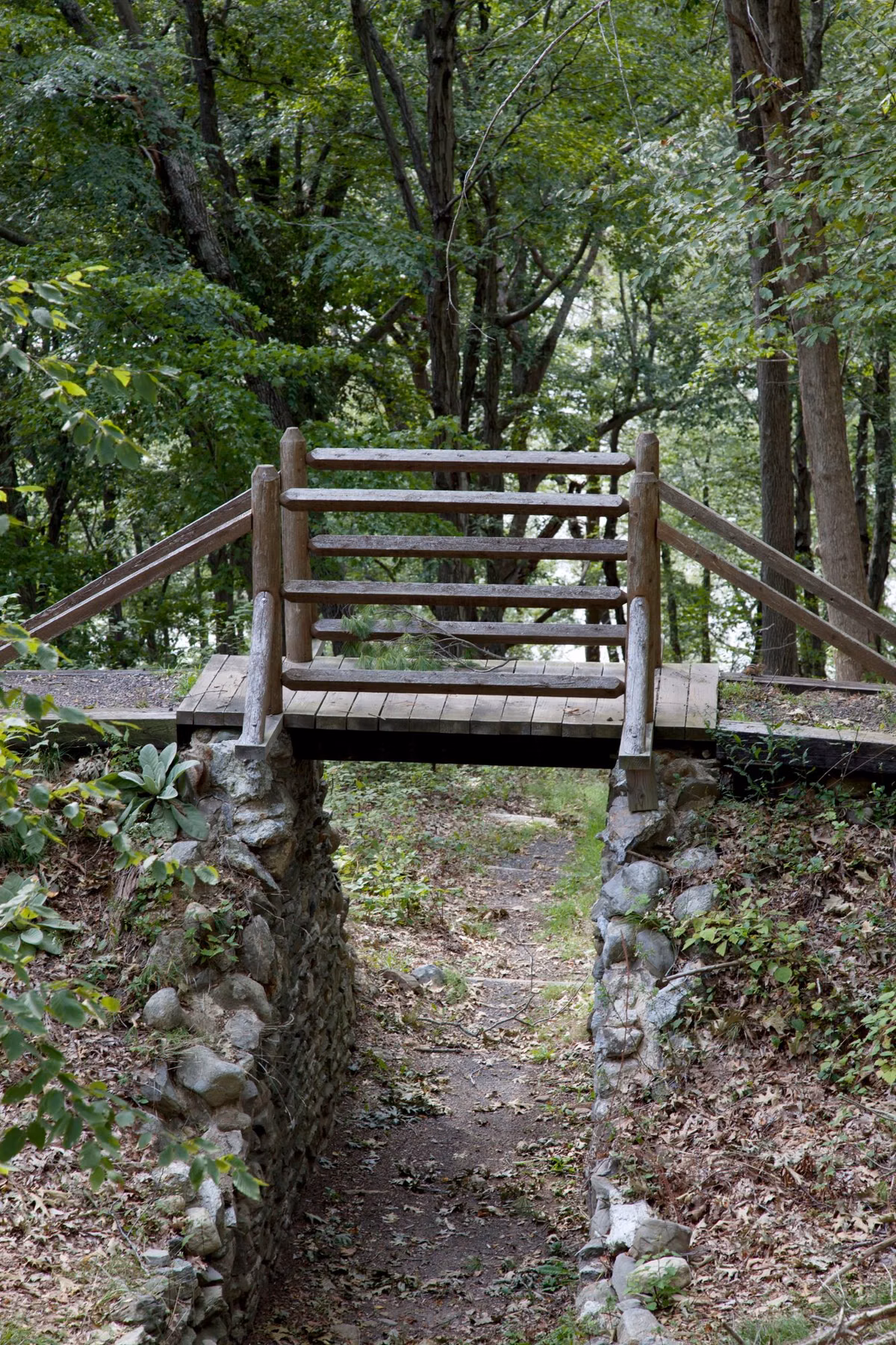 Wooden footbridge on stone abutments over a forest path
