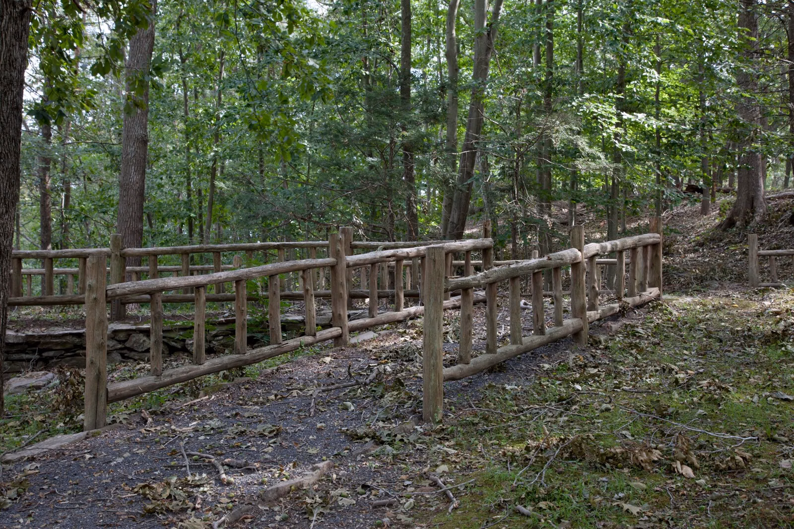 Rustic wooden railings along a woodland trail bridge
